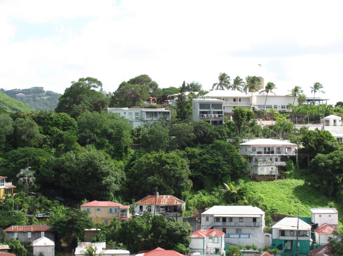 The Green Iguana Hotel Charlotte Amalie Buitenkant foto