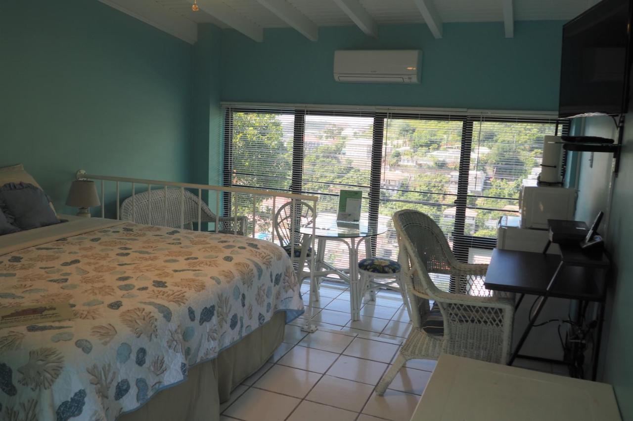 The Green Iguana Hotel Charlotte Amalie Buitenkant foto