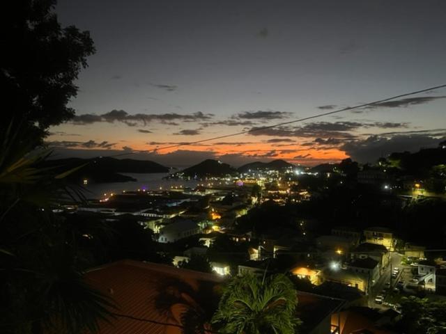 The Green Iguana Hotel Charlotte Amalie Buitenkant foto