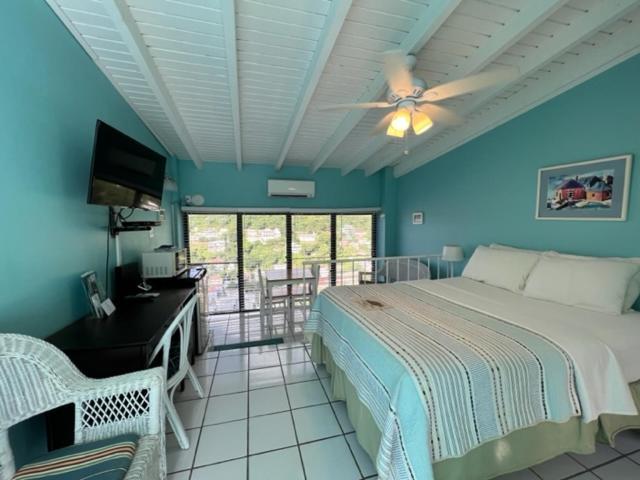 The Green Iguana Hotel Charlotte Amalie Buitenkant foto